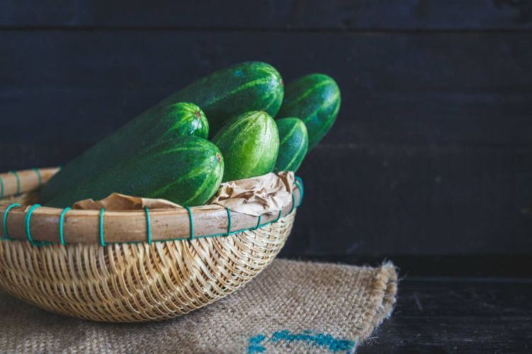 Cucumber1