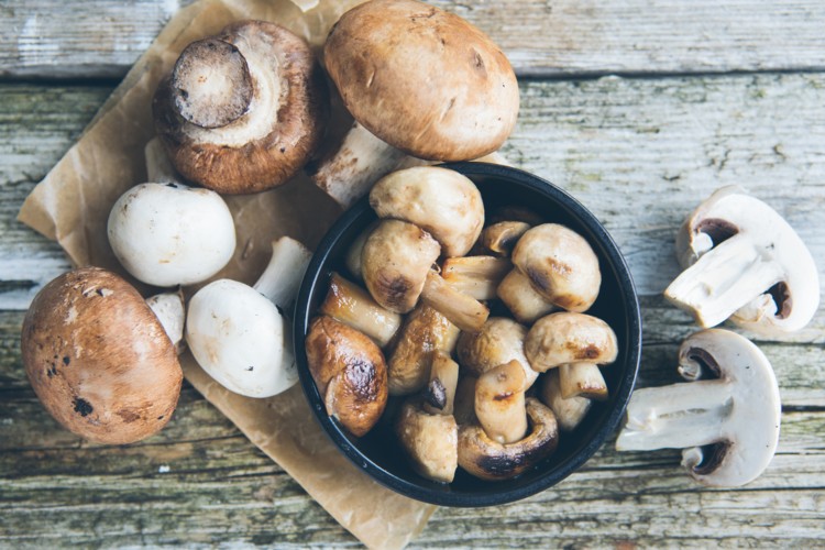 Mushroom-extract-blend-creates-immune-cell-boost-say-scientists_wrbm_large