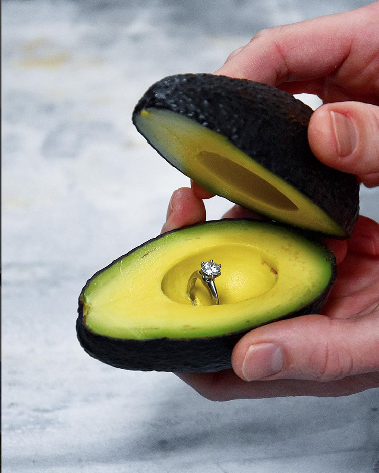 avocado_proposal