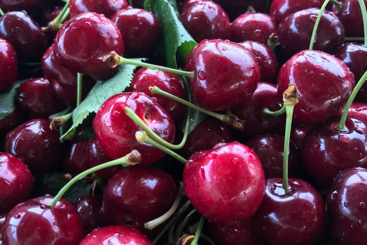 cherries1