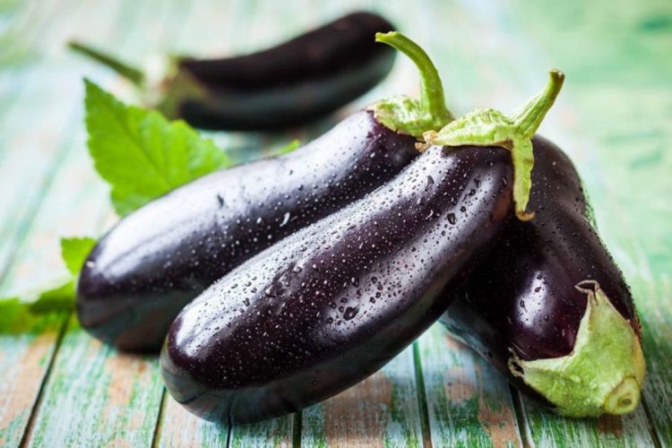eggplant0