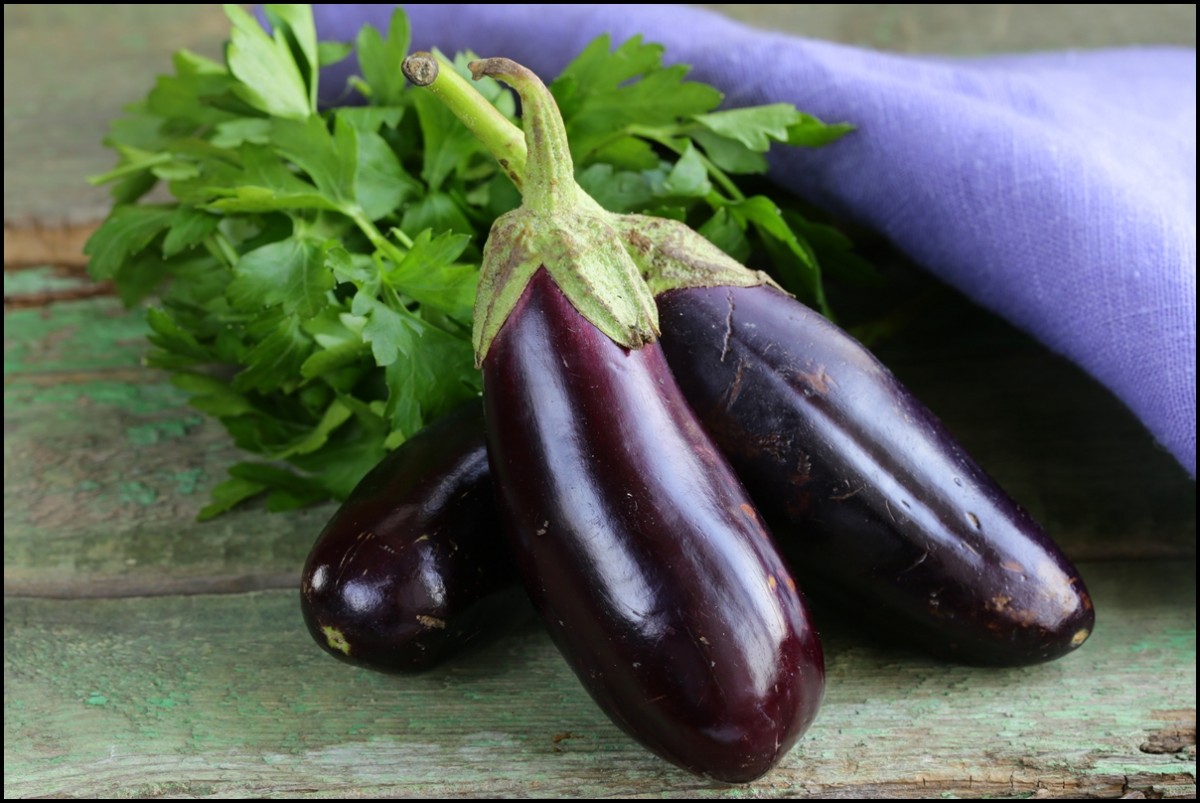 eggplants