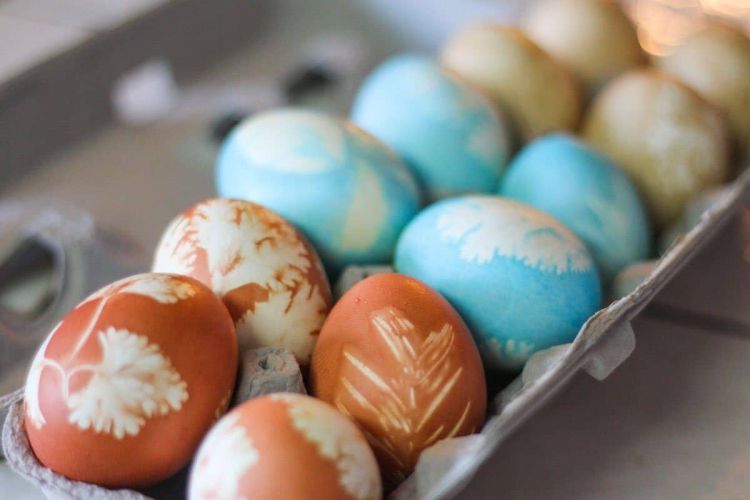 eggsnatu