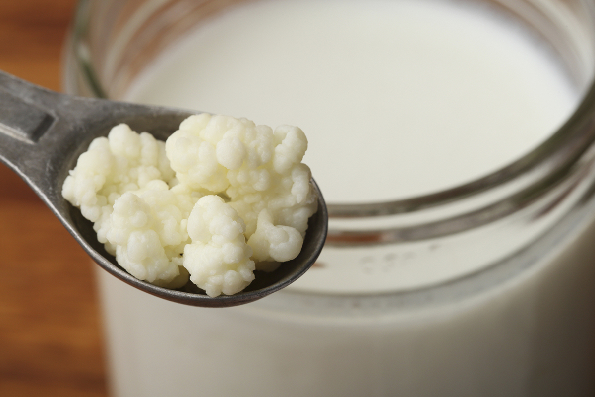 kefir
