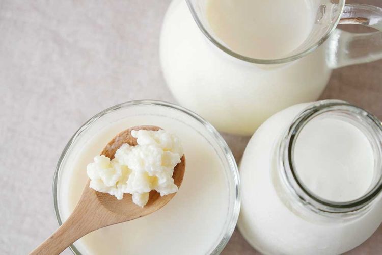 kefir2