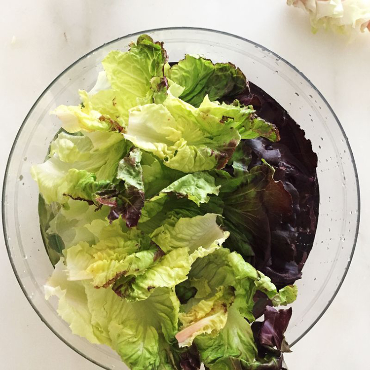 lettuce