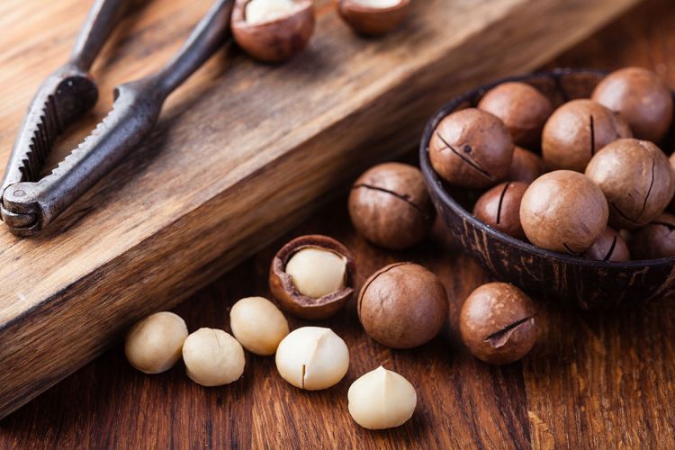 macadamia