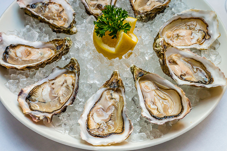 oysters