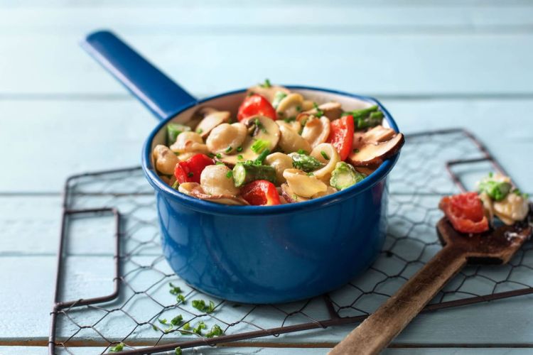 pasta anoixi b