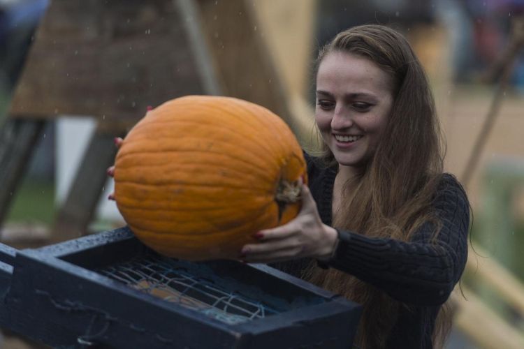 pumpkin