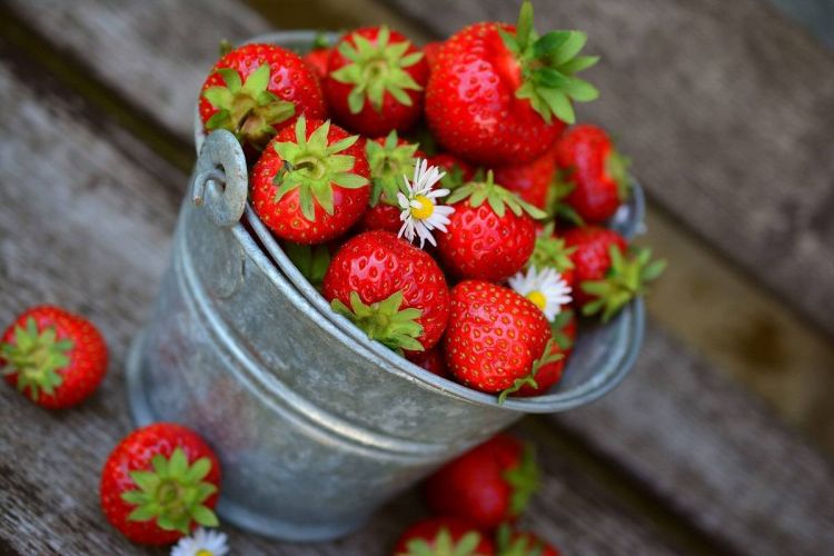 px_strawberries-1200x800