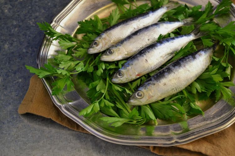 sardines1