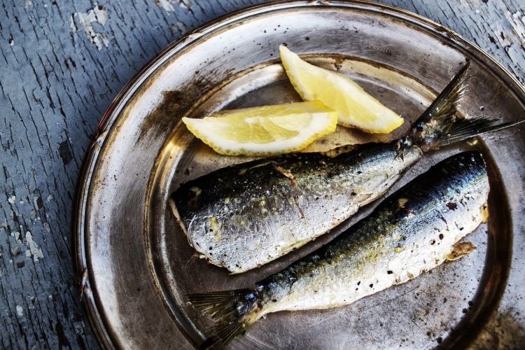 sardines3