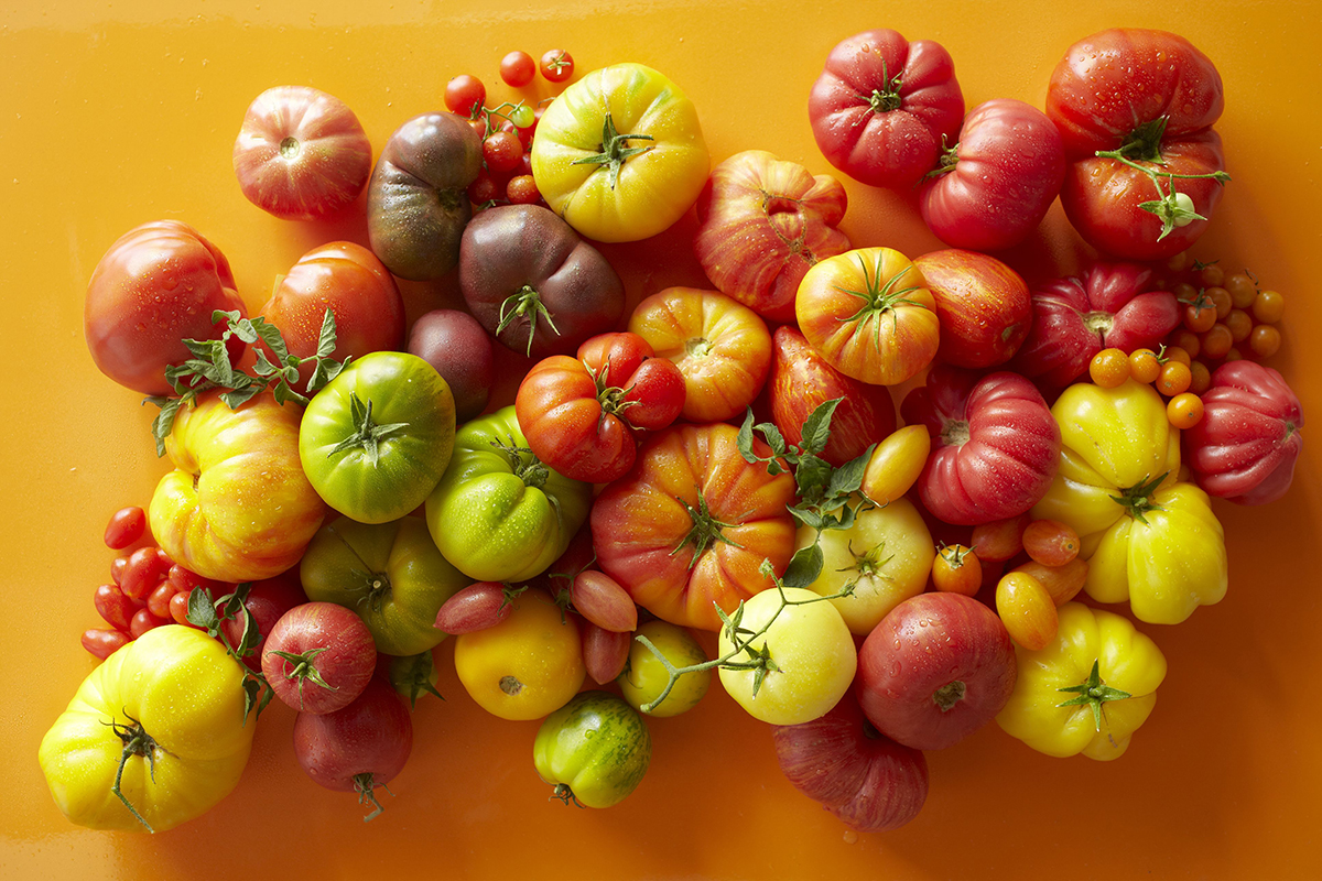 tomatoes