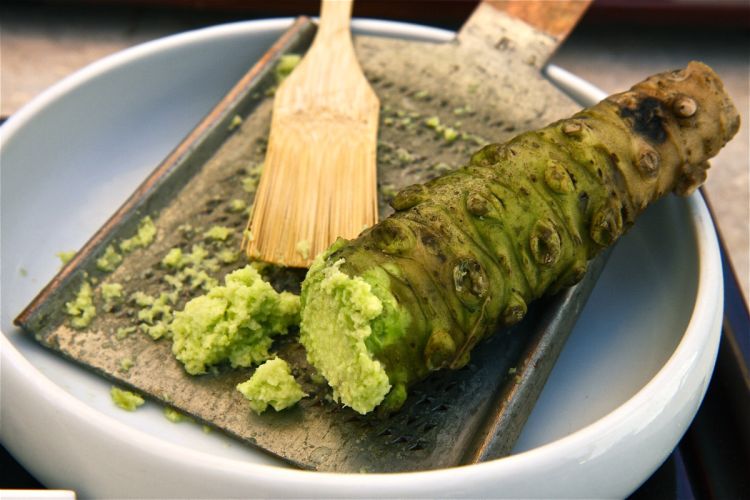 wasabi-photo
